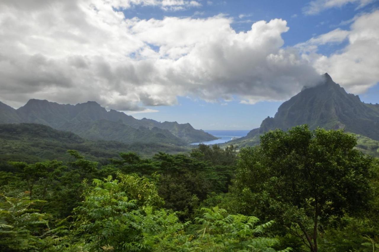 Auti Studio Direct Access To The Beach On Moorea With Ac -Wifi - Netflix Appartement Haapiti Buitenkant foto