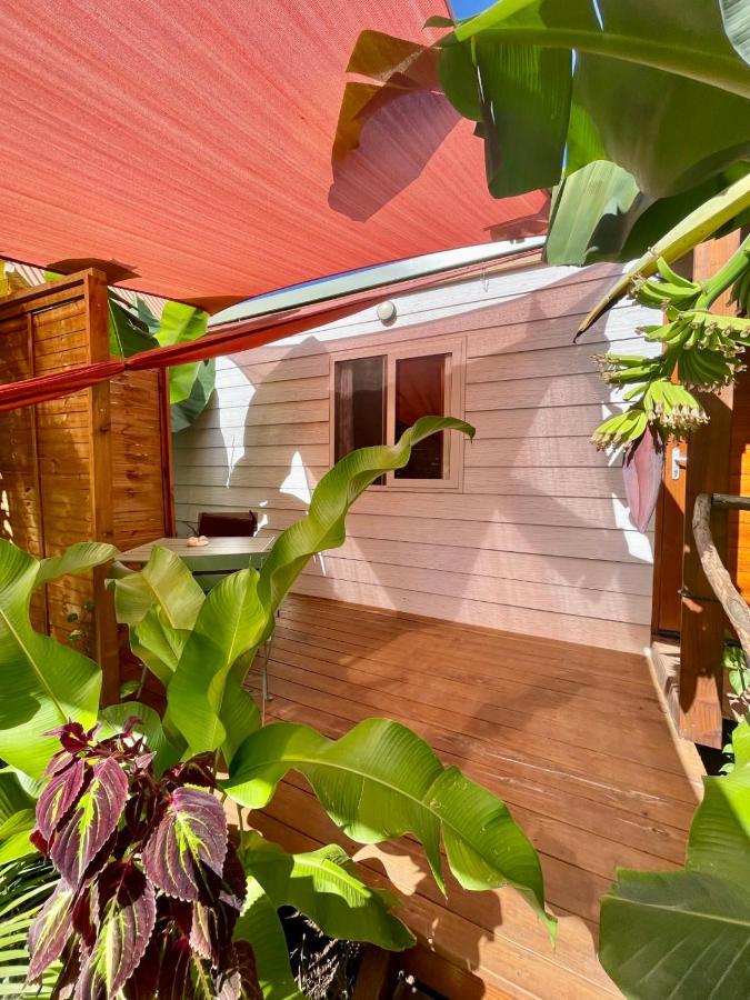 Auti Studio Direct Access To The Beach On Moorea With Ac -Wifi - Netflix Appartement Haapiti Buitenkant foto