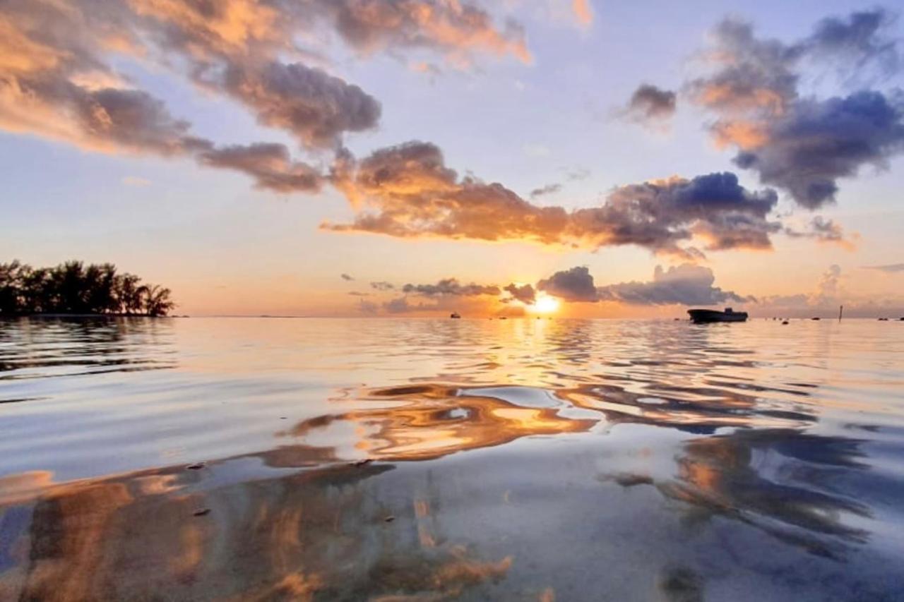 Auti Studio Direct Access To The Beach On Moorea With Ac -Wifi - Netflix Appartement Haapiti Buitenkant foto